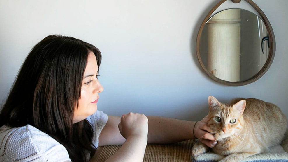 Ayudoatugato Raquel Mangado Catsitter Zaragoza 2