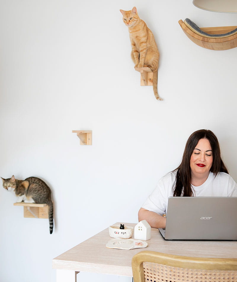Plan Nutricion Felina Mes A Mes Neofobia Ayudoatugato